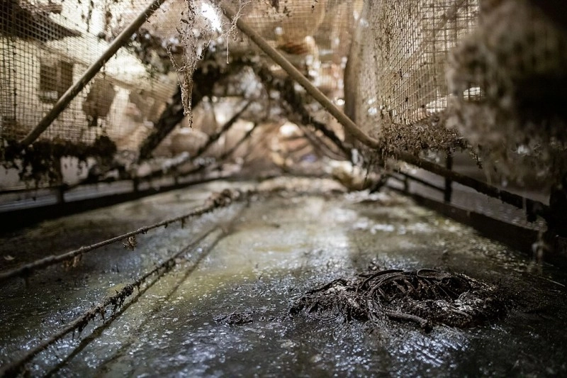 3C - 'Get the Facts' waste image