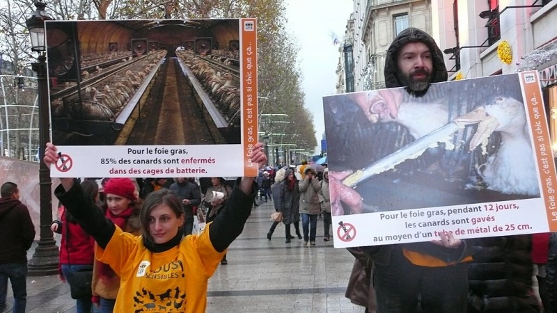 3D - 'Get the Facts' Protest image
