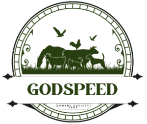 Endorsing organization logo