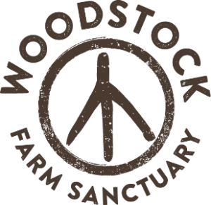 Woodstock Farm Sanctuary