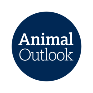 Animal Outlook
