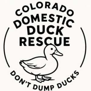 Colorado Domestic Duck Rescue
