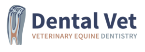 Dental Vet