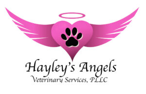 Hayley’s Angels Veterinary Services