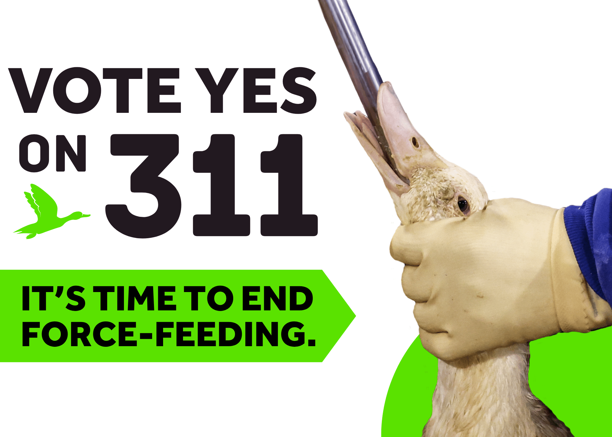 Vote yes on 311. It’s time to end force-feeding.