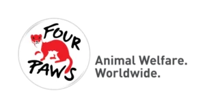 Four Paws