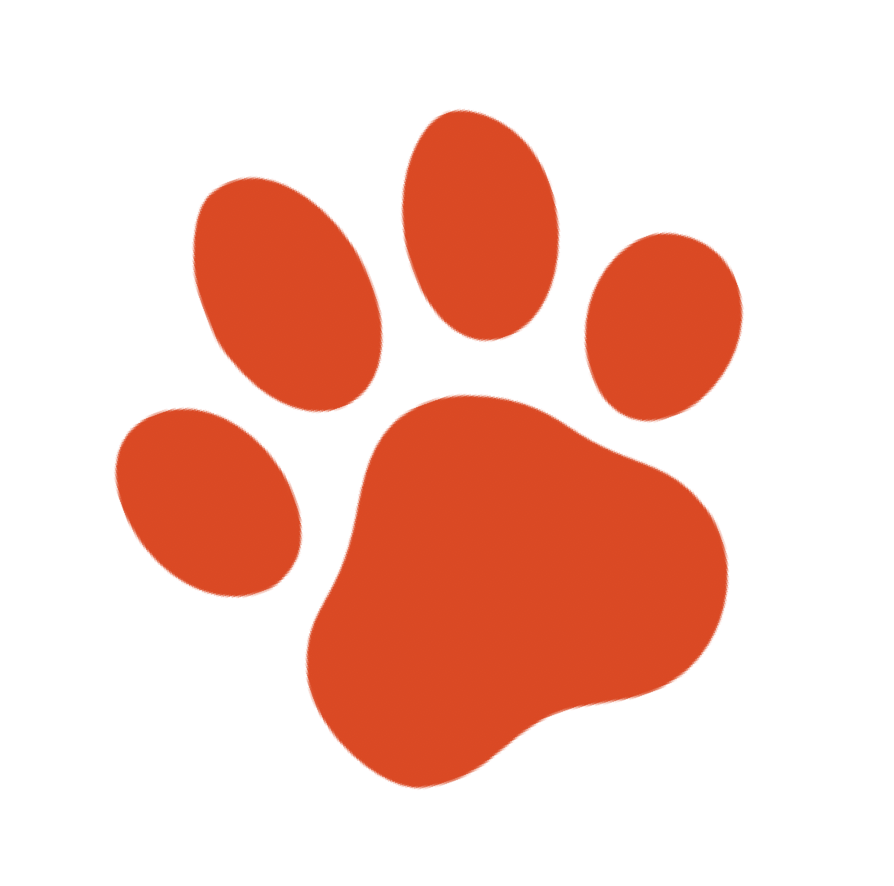 🐾