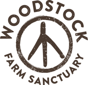 Woodstock Farm Sanctuary