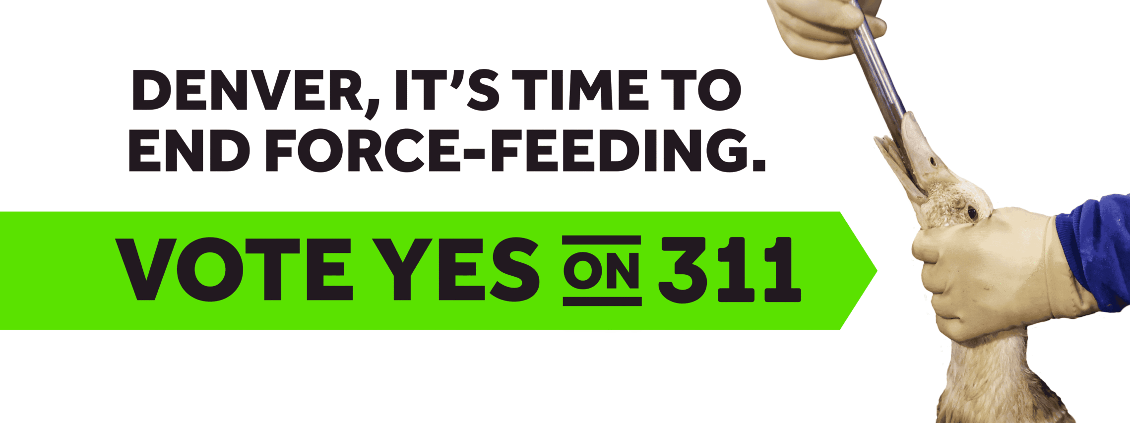 Denver, it’s time to end force-feeding. Vote yes on 311.